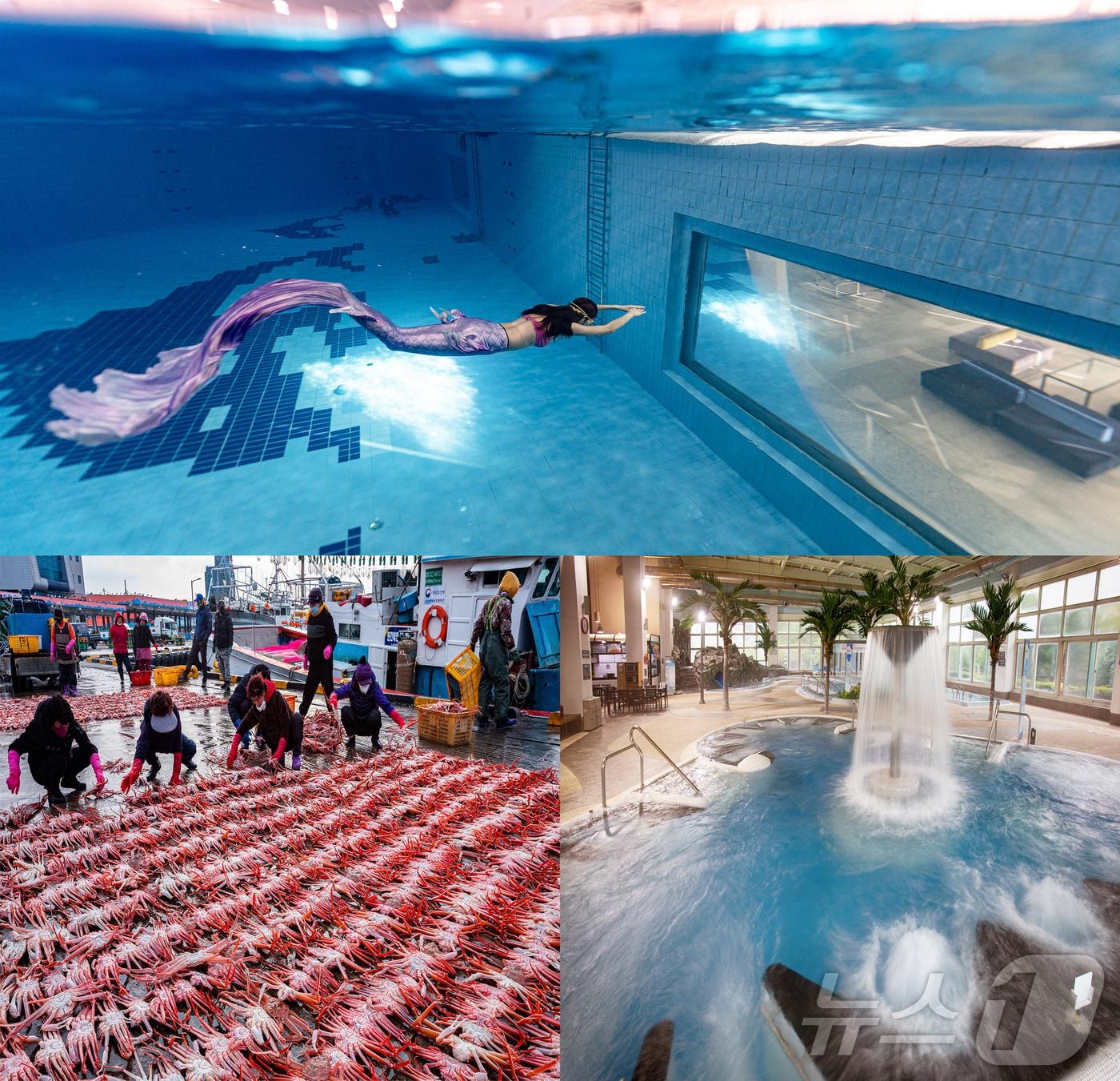 본문 이미지 - 경북문화관광공사가 12월의 관광지로 울진군의 온천과 대게를 소개했다. (경북문화관광공사제공) 2024.12.4/뉴스1 