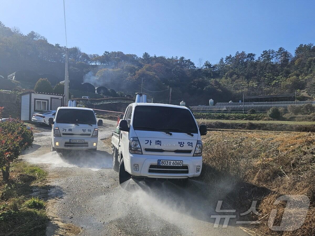 본문 이미지 - 고병원성 조류 인플루엔자&#40;AI&#41; 바이러스 방역.&#40;자료사진&#41;/뉴스1 DB