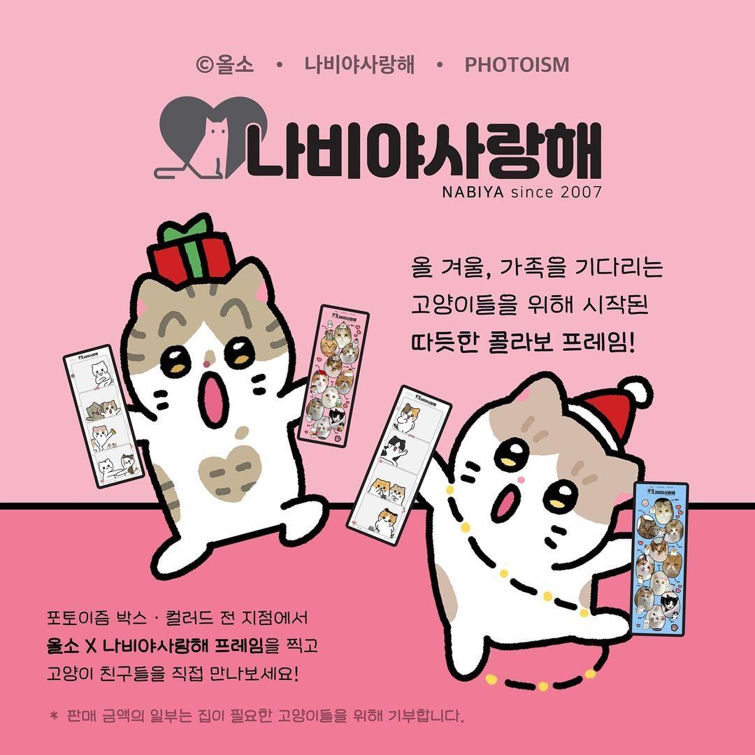 본문 이미지 - 포토부스 브랜드 포토이즘이 고양이보호단체 나비야 사랑해, 올소 작가와 협업해 보호소 고양이들이 캐릭터로 삽입된 프레임을 최근 출시했다. (나비야사랑해 제공) ⓒ 뉴스1