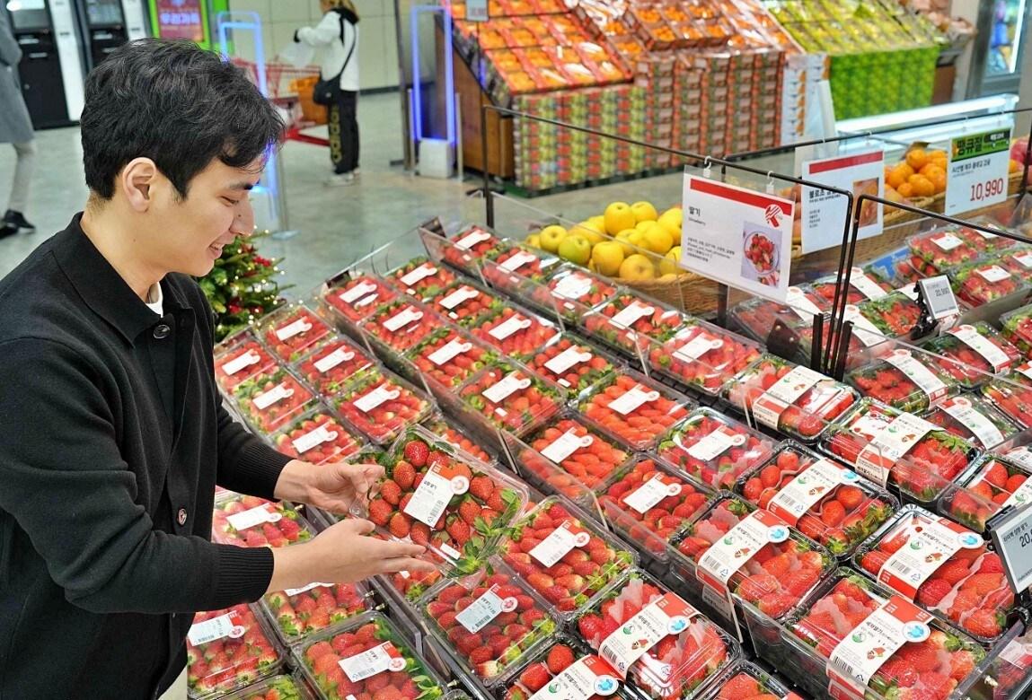 본문 이미지 - (롯데마트 제공)