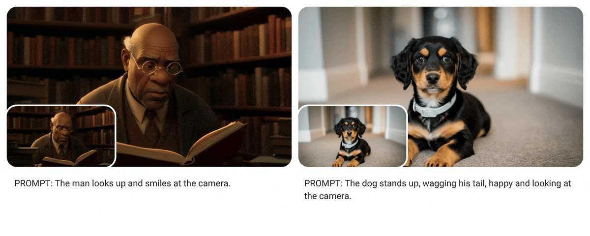 본문 이미지 - 비오가 이마젠 3로 생성한 이미지를 바탕으로 제작한 영상 클립 (구글 클라우드 제공)