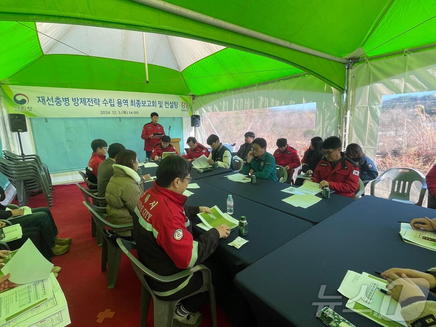 본문 이미지 - 동부지방산림청은 5일 강원 동해시 소나무재선충병 방제현장에서 소나무재선충병 맞춤형 방제전략 수립 용역 최종보고회를 개최했다.&#40;동부산림청 제공&#41;2024.12.5/뉴스1