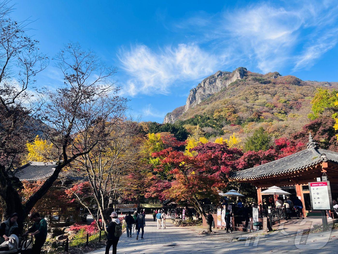 본문 이미지 - 전남 장성 백양사와 백암산이 국립공원 지정 이후 최초로 100만 명 방문을 넘어섰다. 단풍 물든 백양사와 백암산.(장성군 제공)2024.12.5/뉴스1