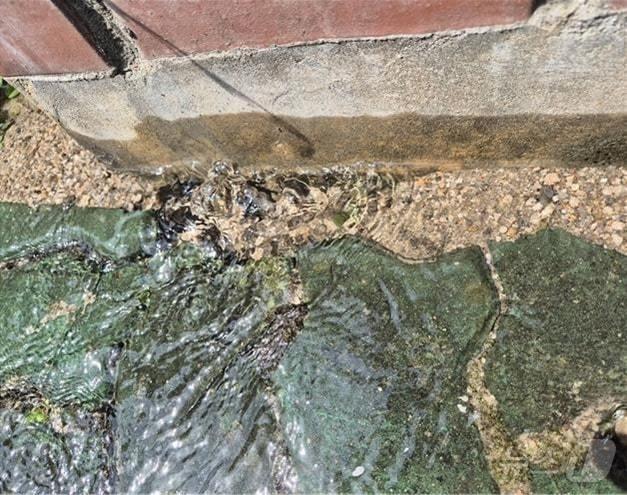 본문 이미지 - 하반기 최우수로 선정된 수도관 파열 의심 신고. (서울시 제공)ⓒ 뉴스1