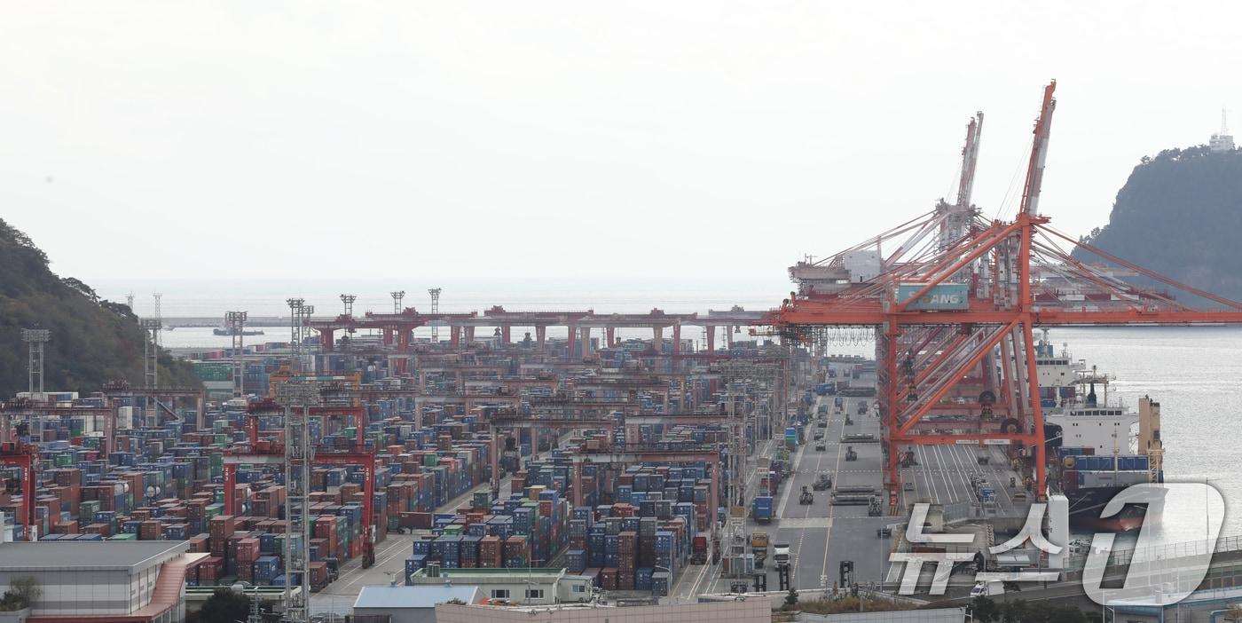 6일 오후 부산항 신선대부두와 감만부두 야적장에 컨테이너가 가득 쌓여 있다. 2024.12.6/뉴스1 ⓒ News1 윤일지 기자