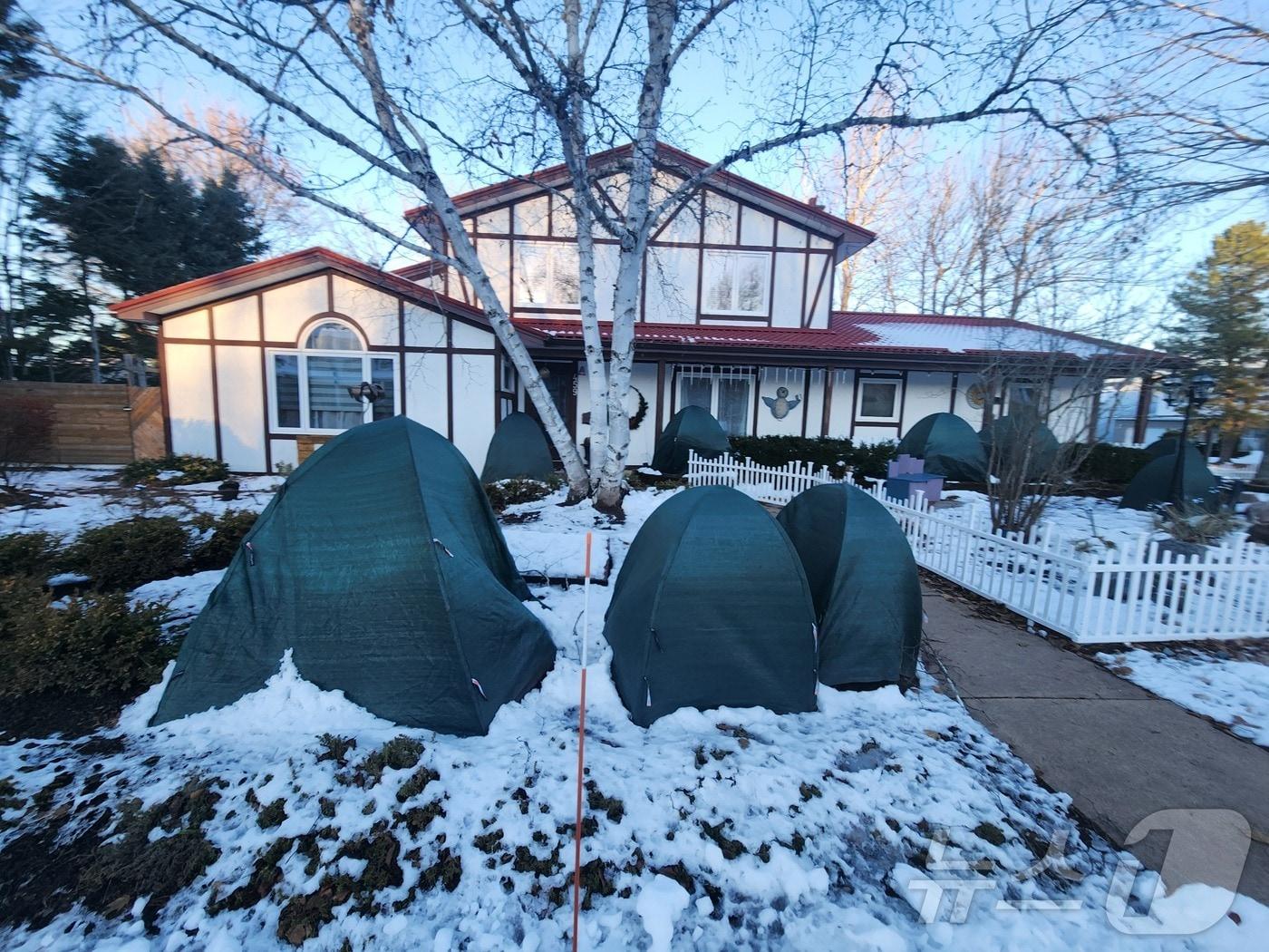 본문 이미지 - 정원의 나무들이 겨울 동안 얼어 죽지 않게 하기 위해 보온 커버를 씌워두었다. 2024. 12. 05/ⓒ 뉴스1 김남희 통신원