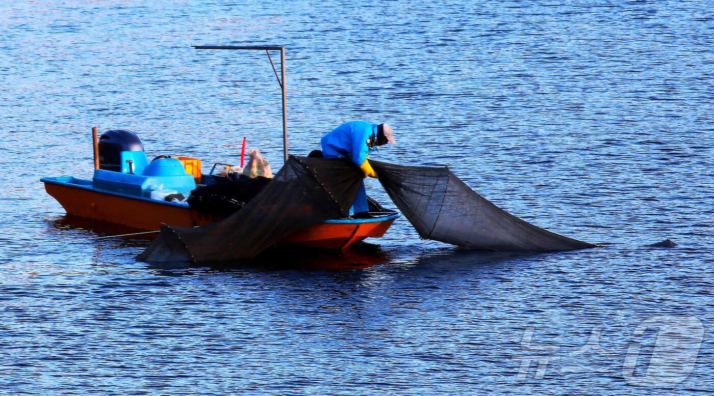 조업 자료사진&#40;사진은 기사 내용과 무관함&#41; / 뉴스1 ⓒ News1
