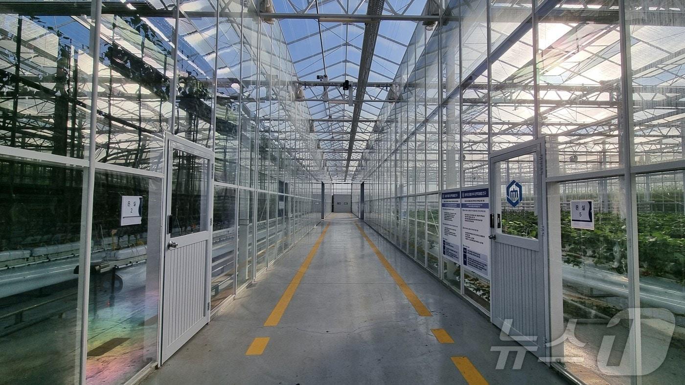 첨단 농업 기술 실증단지.(전남도 제공) 2024.12.7/뉴스1