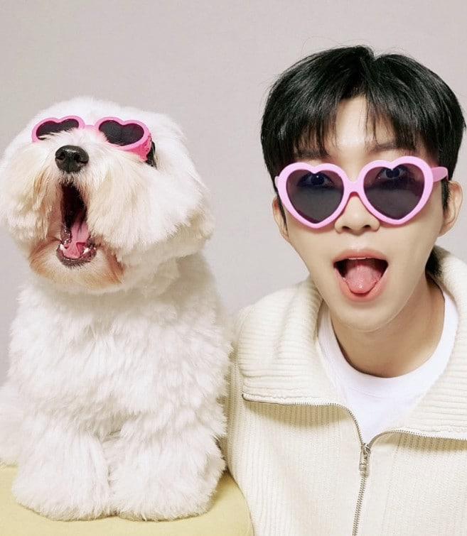 본문 이미지 - 사진=임영웅 SNS 캡처