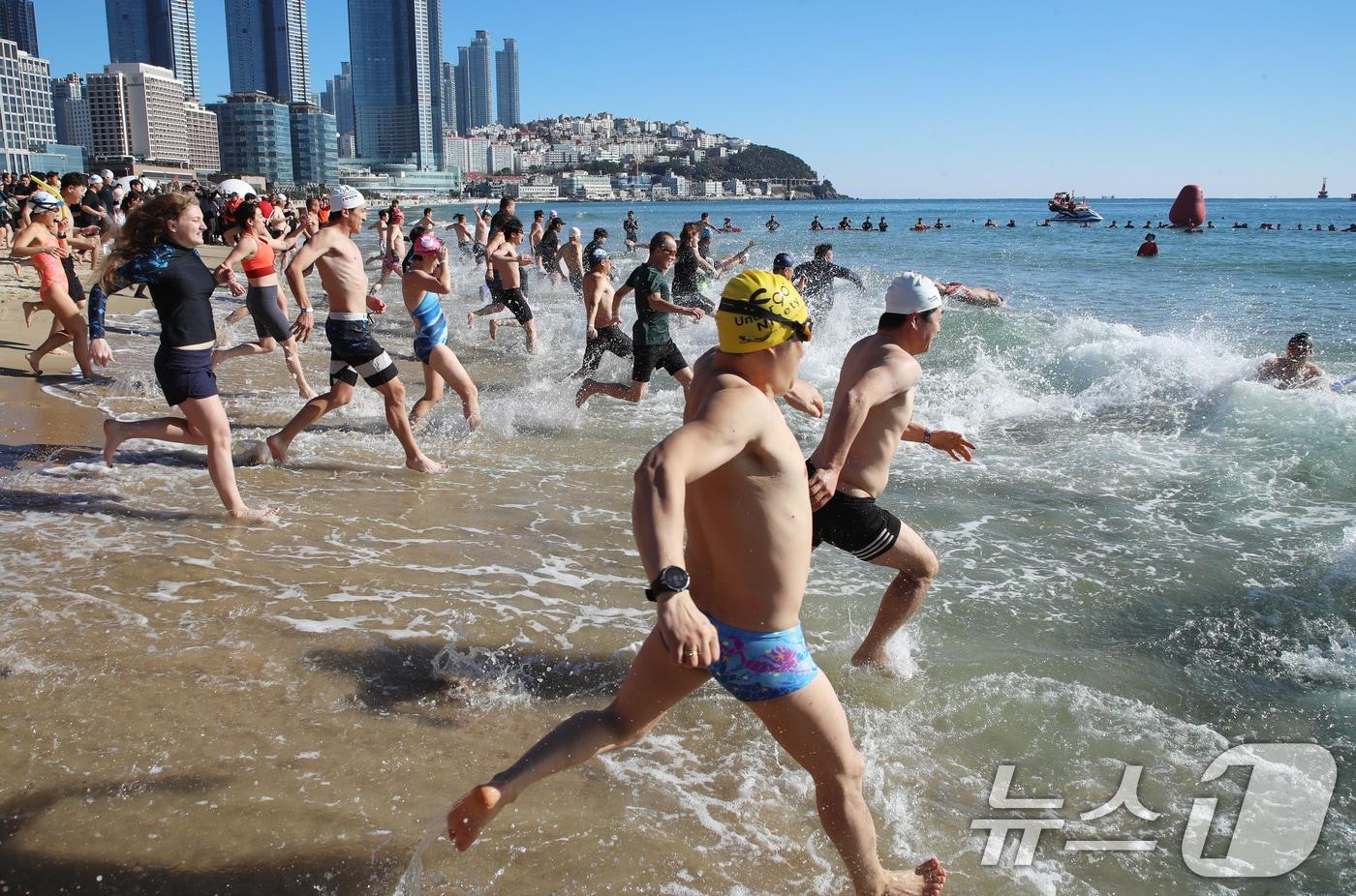 8일 부산 해운대해수욕장에서 열린 제37회 해운대 북극곰축제에서 참가자들이 차가운 겨울 바다에 뛰어들고 있다. 2024.12.8/뉴스1 ⓒ News1 윤일지 기자
