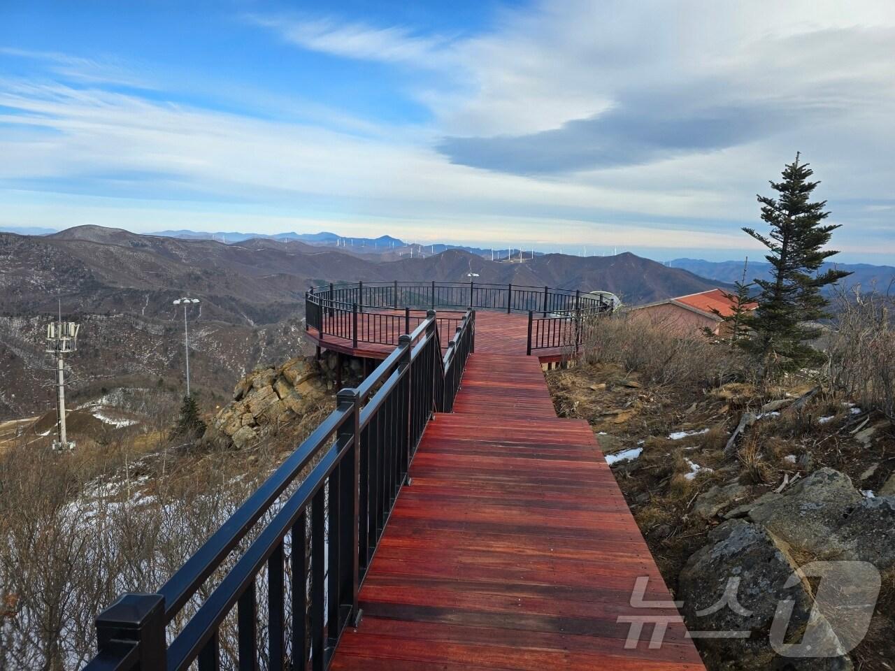 본문 이미지 - 강원 태백시 함백산 숲길 자료 사진. &#40;태백시 제공&#41; 2024.12.8/뉴스1