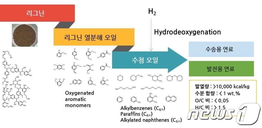 본문 이미지 - 리그닌의 열분해 및 수첨 업그레이딩을 통한 드롭인 바이오연료 생산 공정 모식도. (부산대 제공)/뉴스1