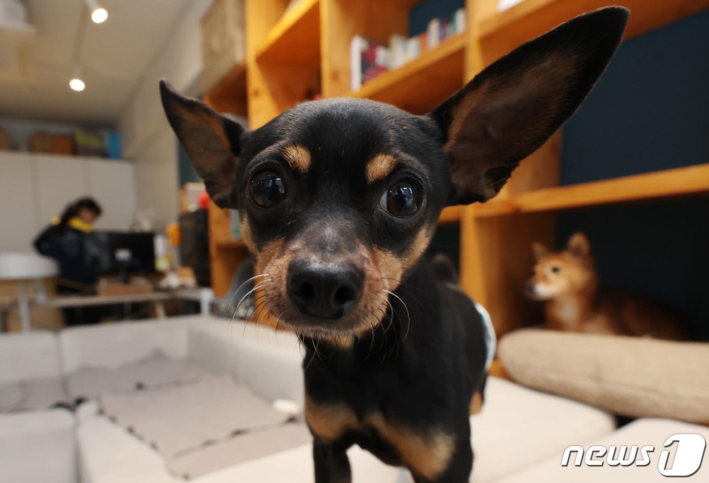 (사진은 기사 내용과 무관함) / 뉴스1 ⓒ News1 