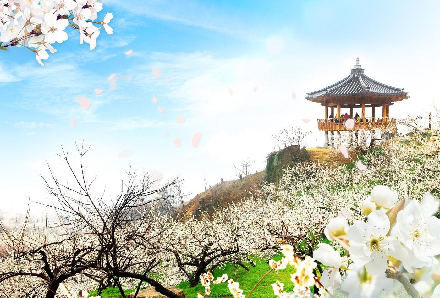 &#40;GS샵 제공&#41;