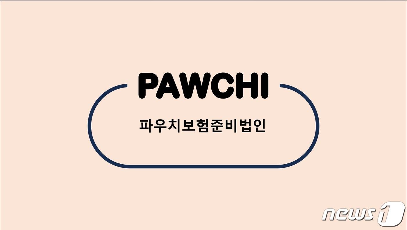 파우치보험준비법인 제공