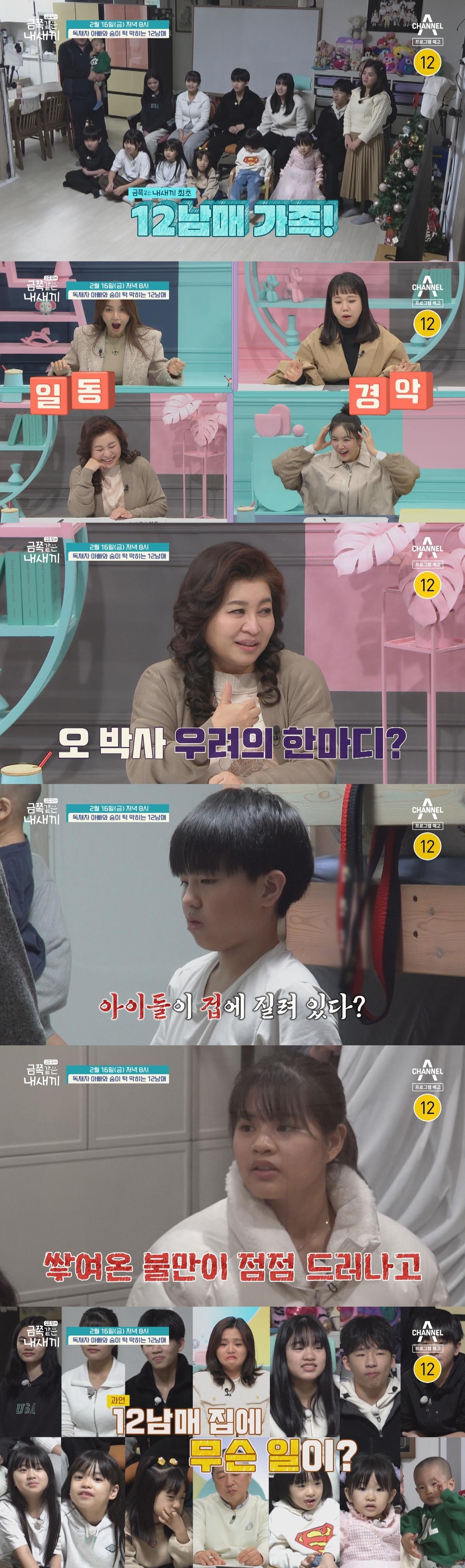 본문 이미지 - 사진=채널A '금쪽같은 내새끼'