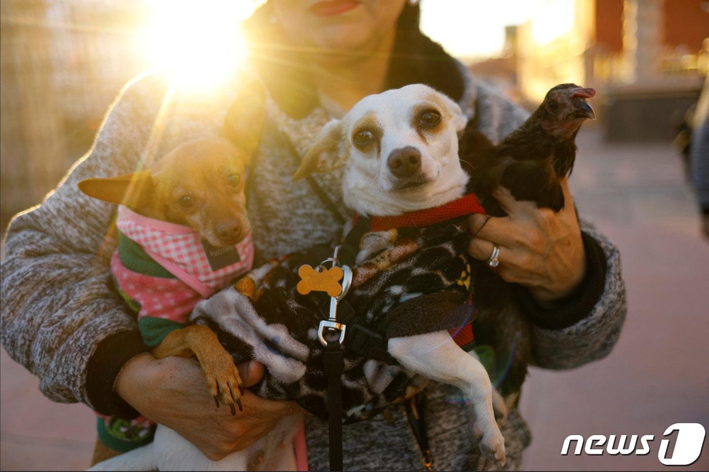 멕시코에서 한 여성이 자신의 반려동물을 껴안고 있는 모습. 2024.01.17. ⓒ 로이터=뉴스1 ⓒ News1 정윤영 기자(사진은 기사 내용과 무관함) / 뉴스1 ⓒ News1