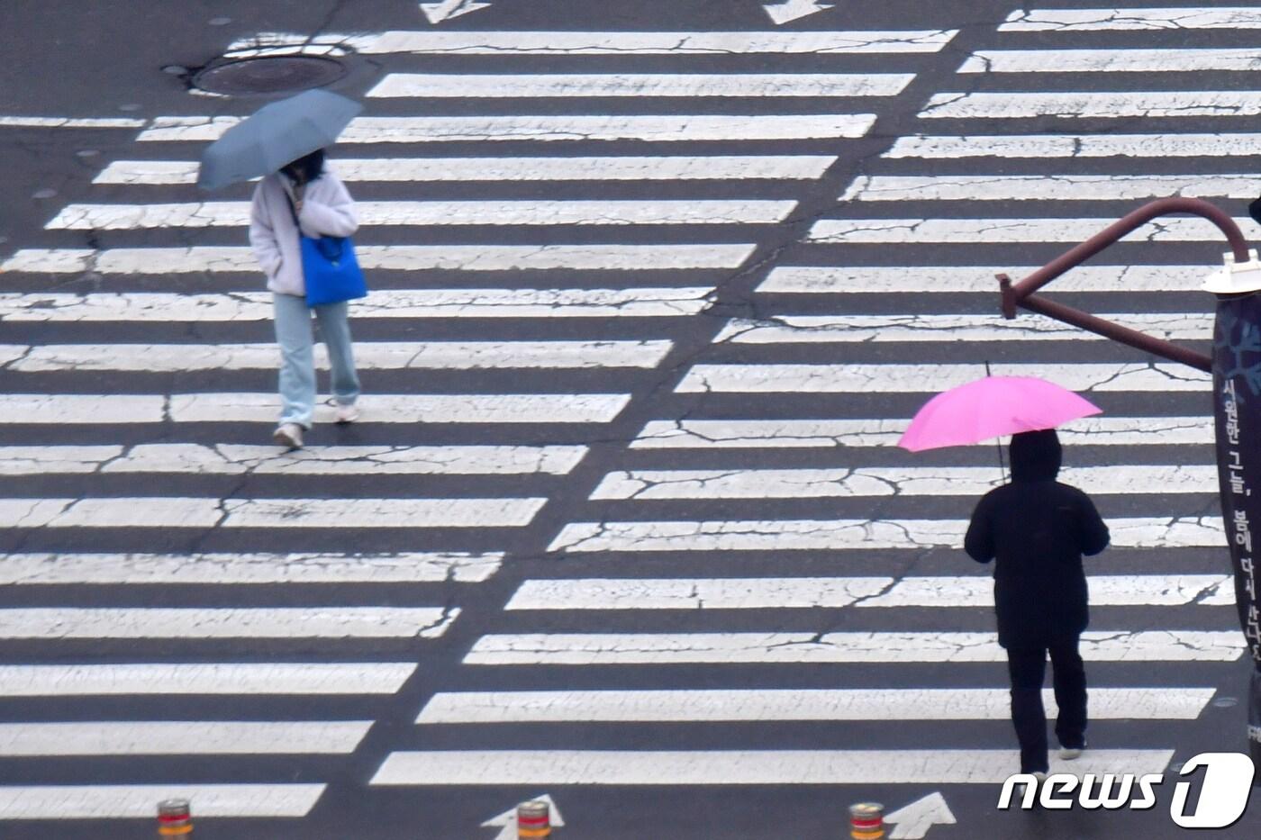 20일 오전 경북 포항시 남구 시청 앞 횡단보도에서 우산을 든 시민들이 신호에 맞춰 건너가고 있다. 2024.2.20/뉴스1 ⓒ News1 최창호 기자