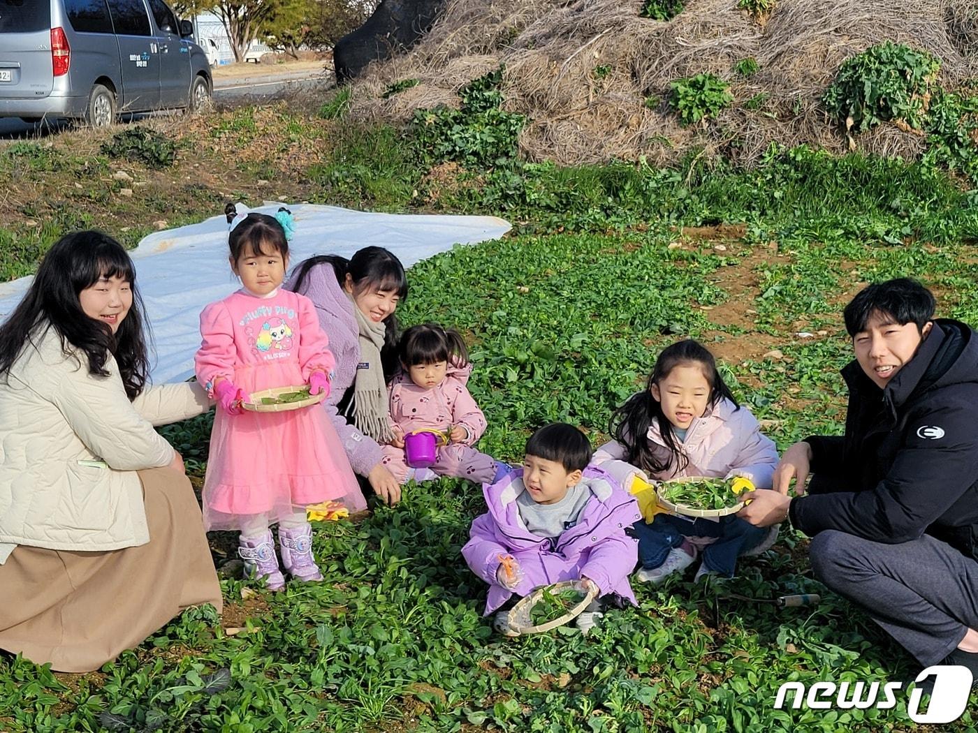 본문 이미지 - 강진청자축제 봄나물 체험장 ⓒ News1