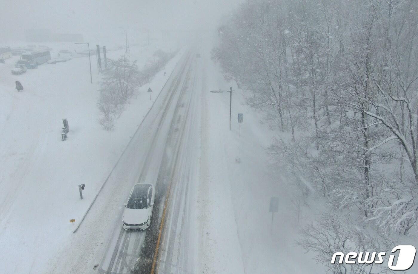 안개 낀 대관령 눈길 자료사진.(뉴스1 DB) News1 이재명 기자