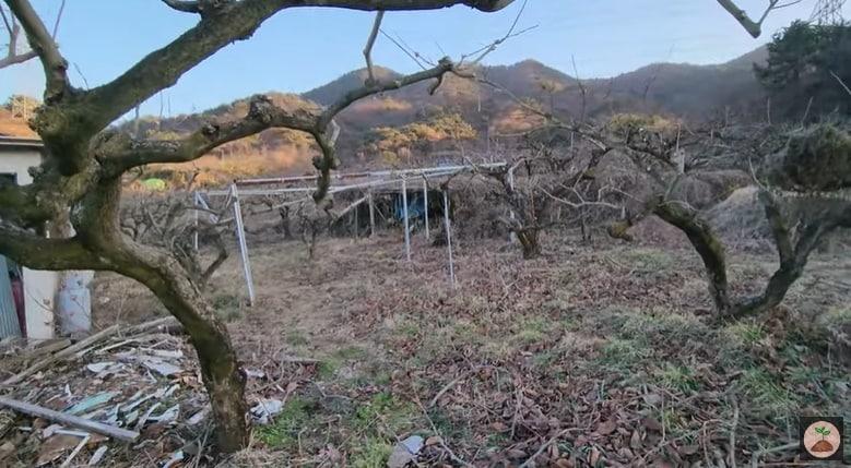 본문 이미지 - (유튜브 채널 '빠머스' 갈무리)