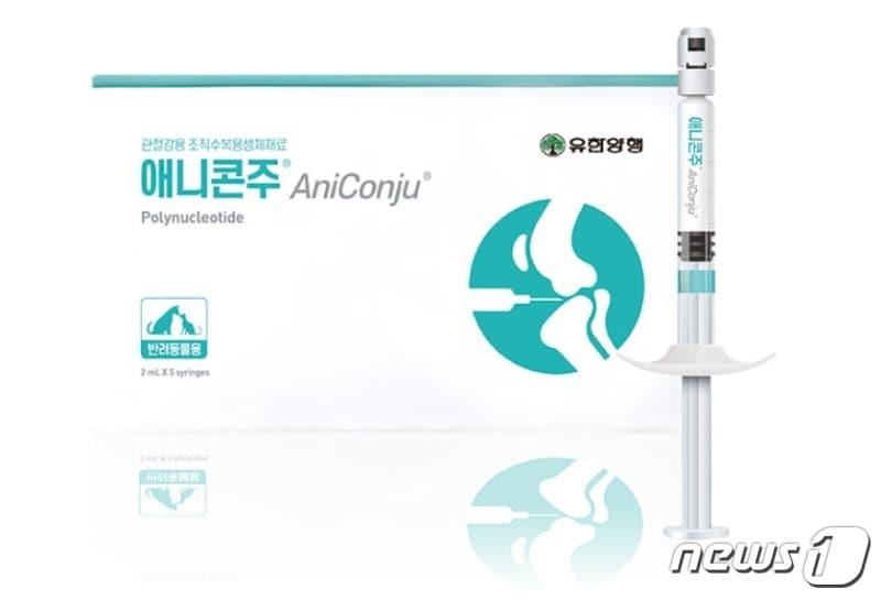 본문 이미지 - 반려동물 관절염 의료기기 애니콘주(유한양행 제공) ⓒ 뉴스1