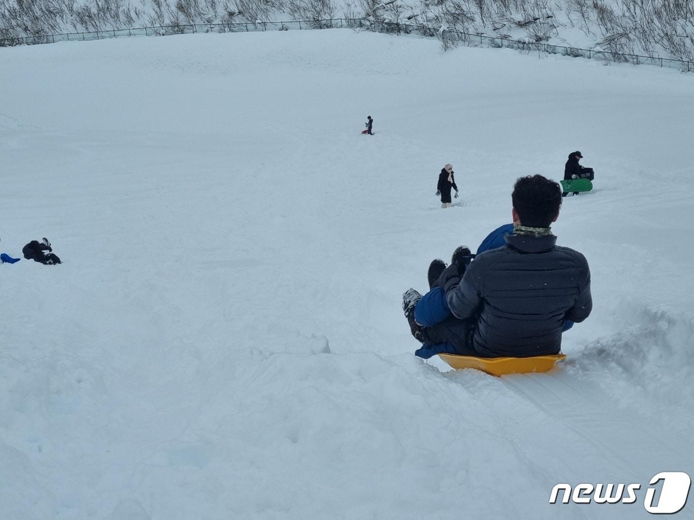 본문 이미지 - 24일 강원 평창군 대관령면의 도로변 언덕에서 가족 나들이객들이 눈썰매를 타고 있다. 2024.2.24/뉴스1 ⓒ News1 윤왕근 기자