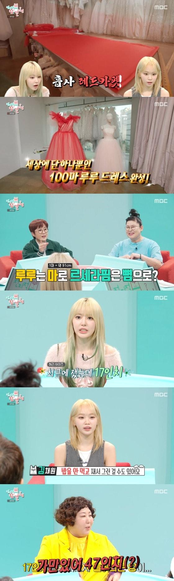 본문 이미지 - MBC '전지적 참견시점' 방송 화면 캡처  