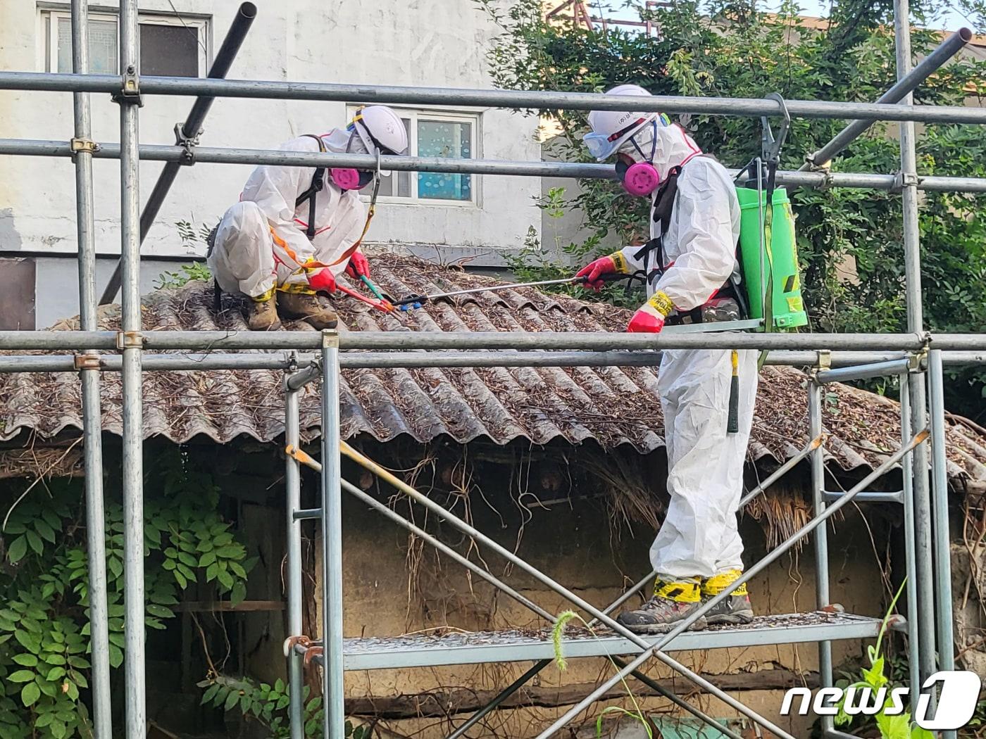 본문 이미지 - 1급 발암물질인 석면이 포함된 슬레이트 지붕을 철거하고 있다.(자료사진)/뉴스1 ⓒ News1 