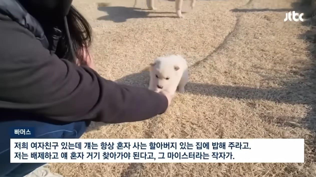 본문 이미지 - (JTBC 갈무리)