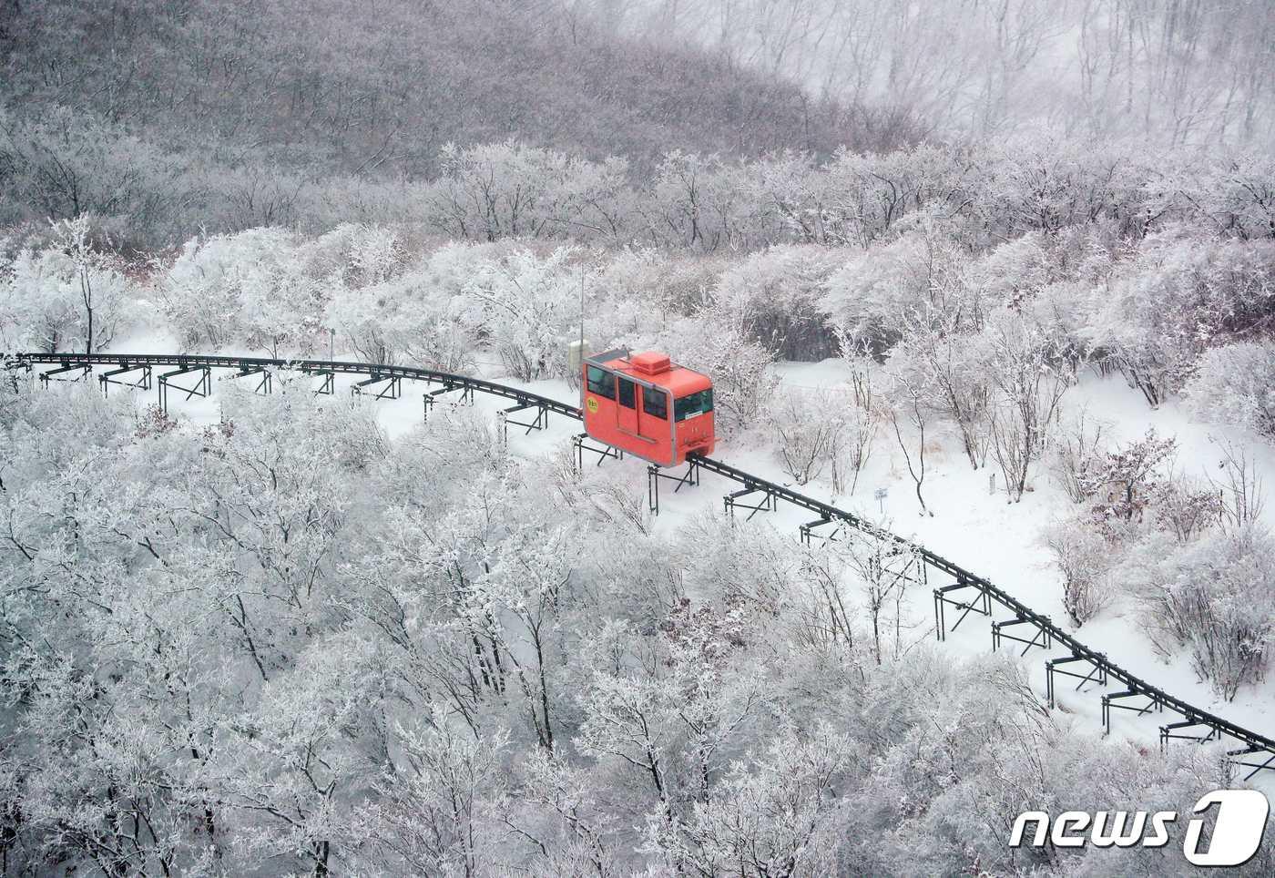 본문 이미지 - 함양 대봉스카이랜드의 모노레일(함양군 제공).