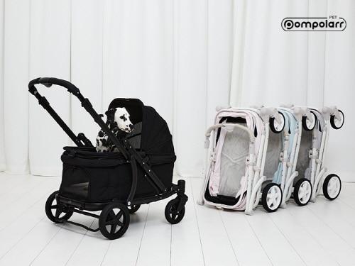 본문 이미지 - 사진=폼포라펫 제공