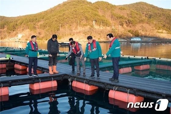 본문 이미지 - 경남 통영시 관계자들이 지역 한 양식장에서 저수온 피해 예방을 위한 점검을 하고 있다./뉴스1 DB