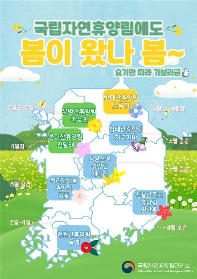 본문 이미지 - 국립자연휴양림 봄꽃 지도./ 뉴스1 