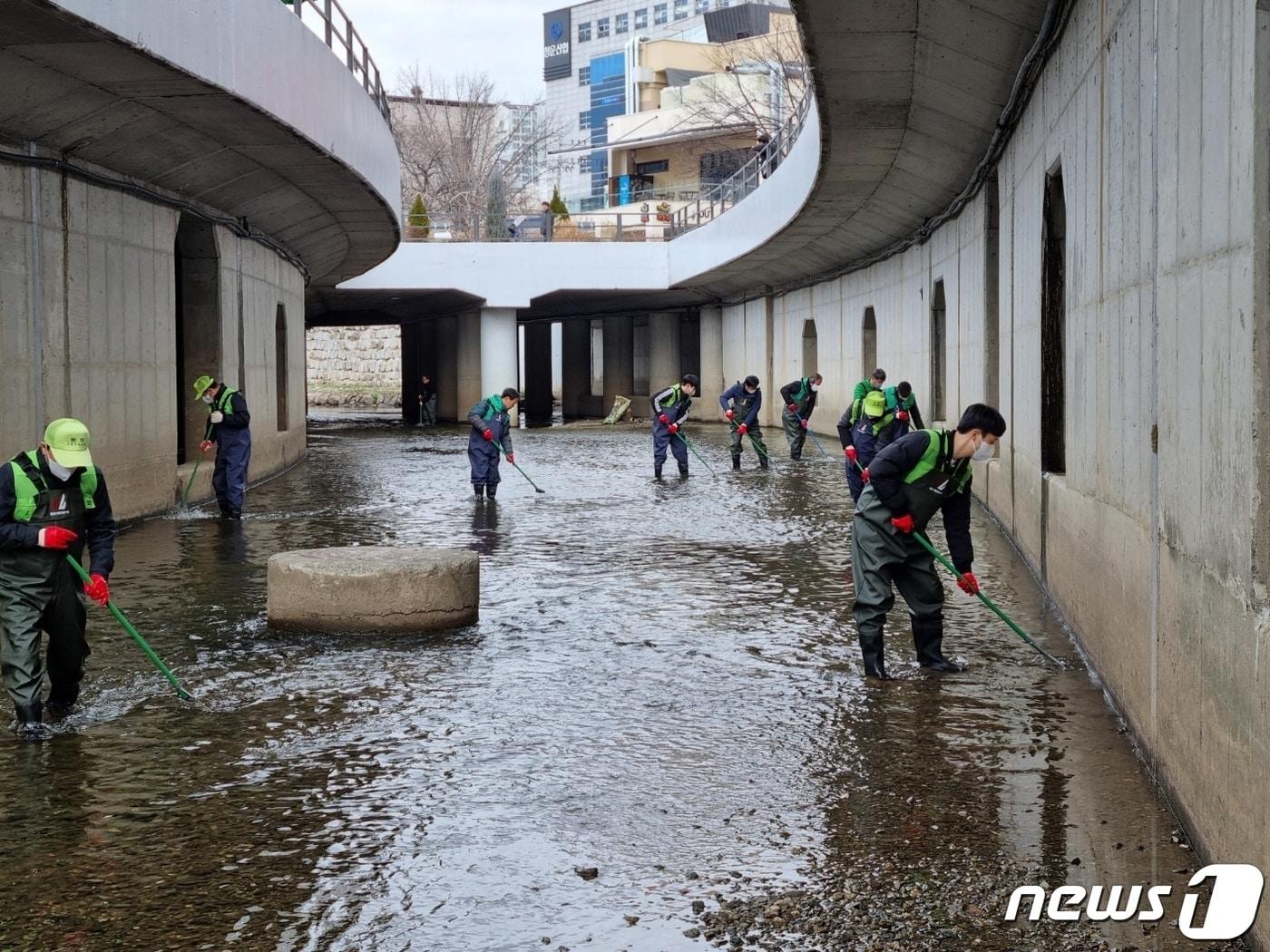 본문 이미지 - 대구 수성구 직원들이 해충 퇴치를 위해 범어천 하류 미복개 구간을 중심으로 환경 정비와 방역을 벌이고 있다. (대구 수성구 제공)