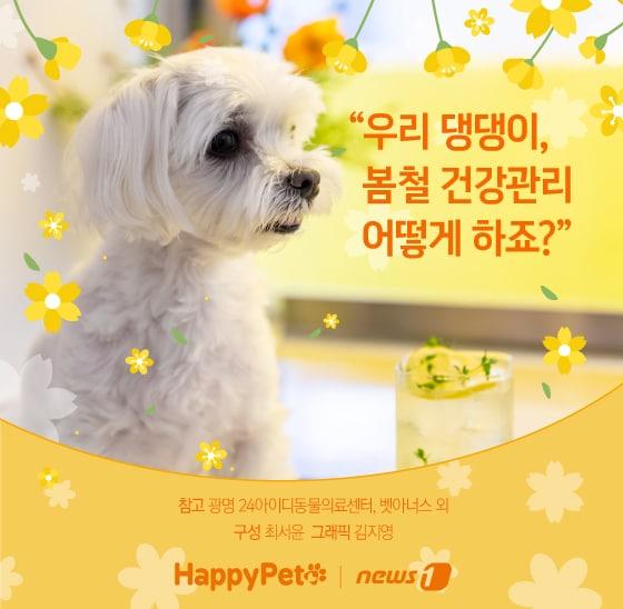 본문 이미지 - ⓒ News1 김지영 디자이너