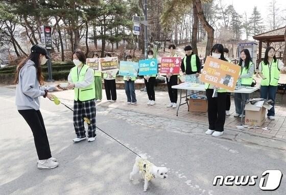본문 이미지 - 5일 충북 충주시가 유기 반려동물 입양률 향상을 위해 다양한 지원사업을 추진한다고 5일 밝혔다. 사진은 반려동물 캠페인.(충주시 제공)2024.2.5/뉴스1