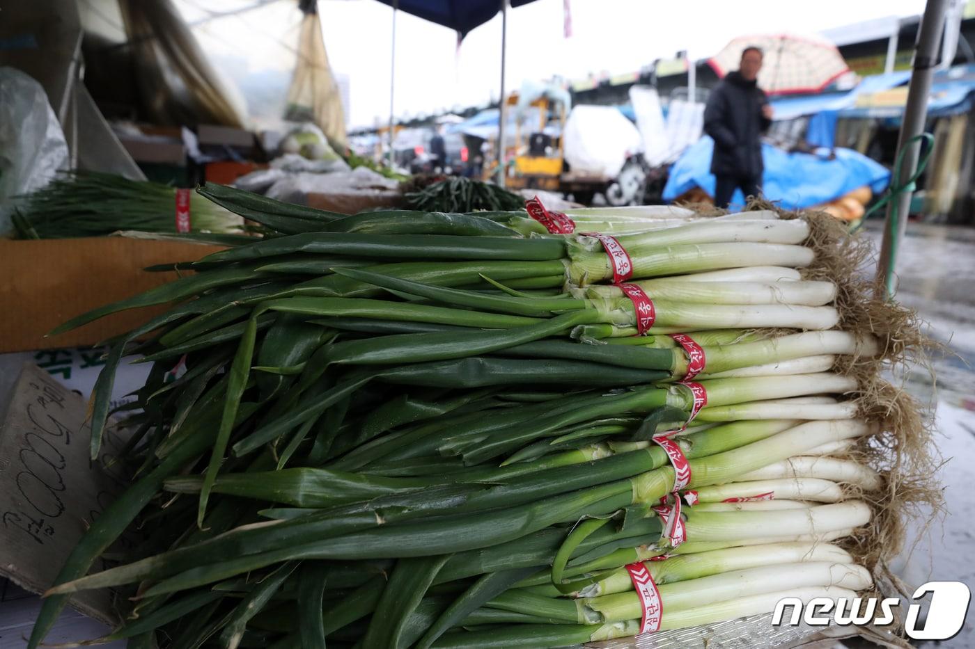서울 송파구 가락시장의 한 상점에 대파가 진열돼 있다. 2024.2.5/뉴스1 ⓒ News1 이승배 기자