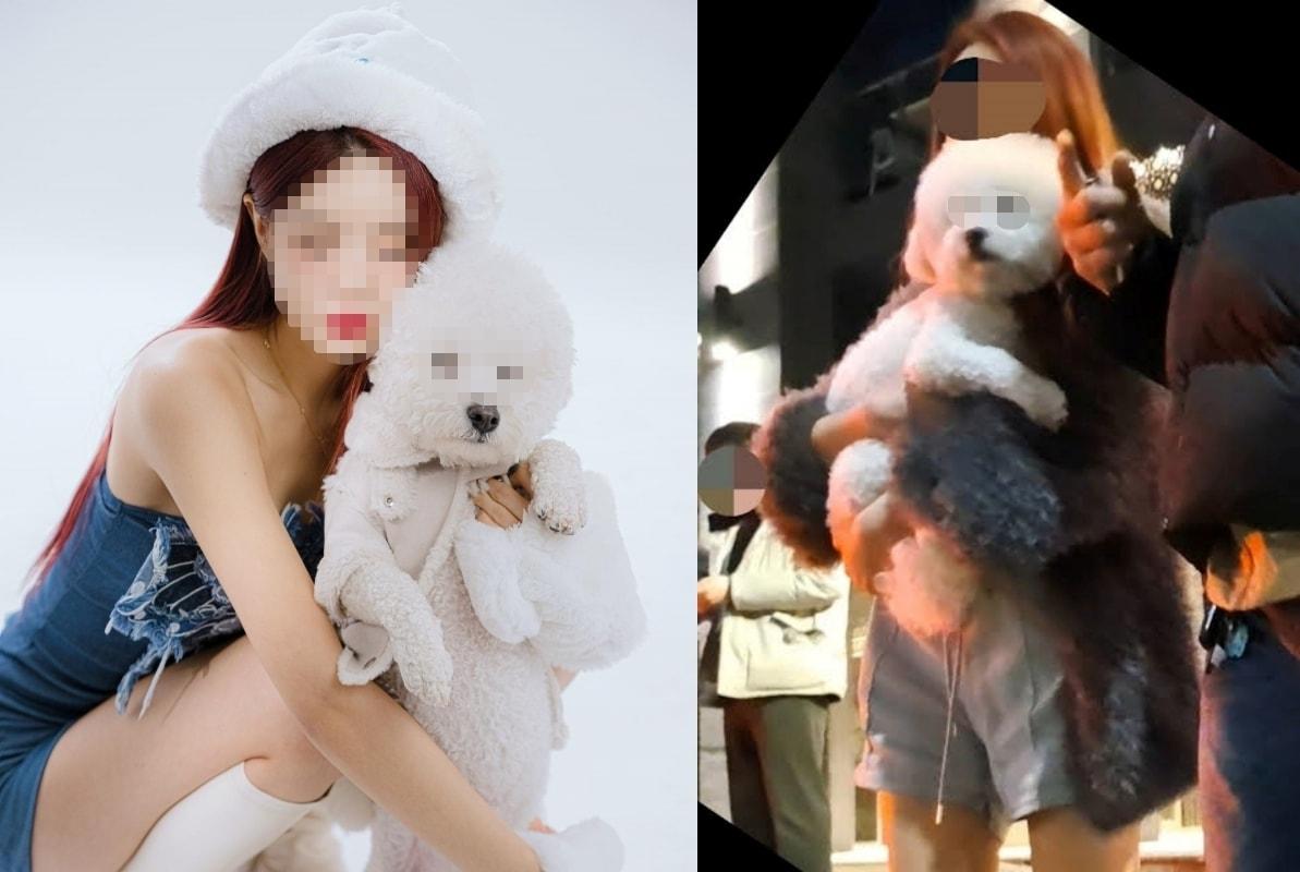 본문 이미지 - (페이스북, 유튜브 갈무리)