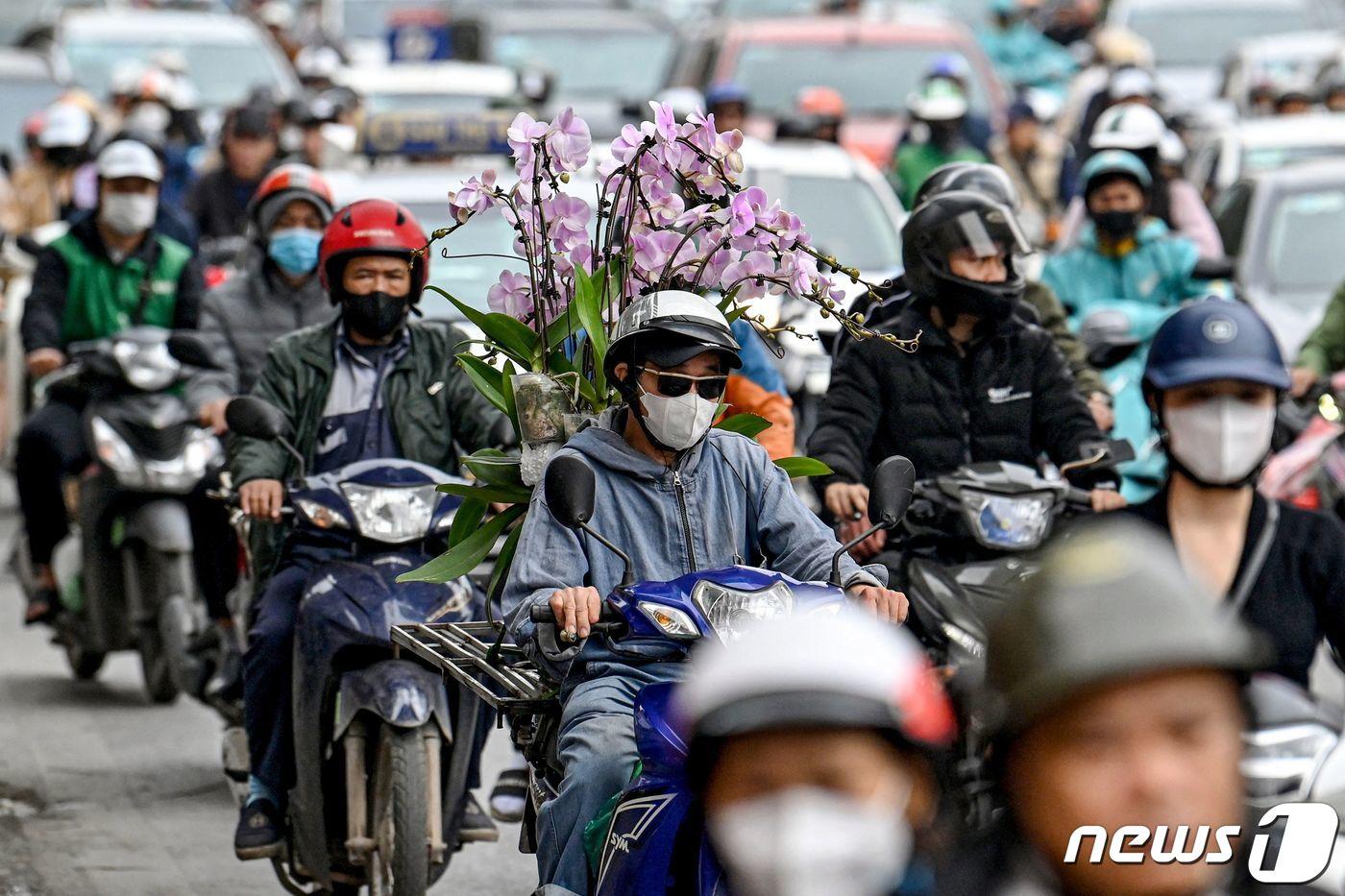 음력 설을 앞두고 5일 베트남 하노이에서 한 남성이 오토바이로 난초를 운반하고 있다. 2024.02.05 ⓒ AFP=뉴스1 ⓒ News1 조소영 기자