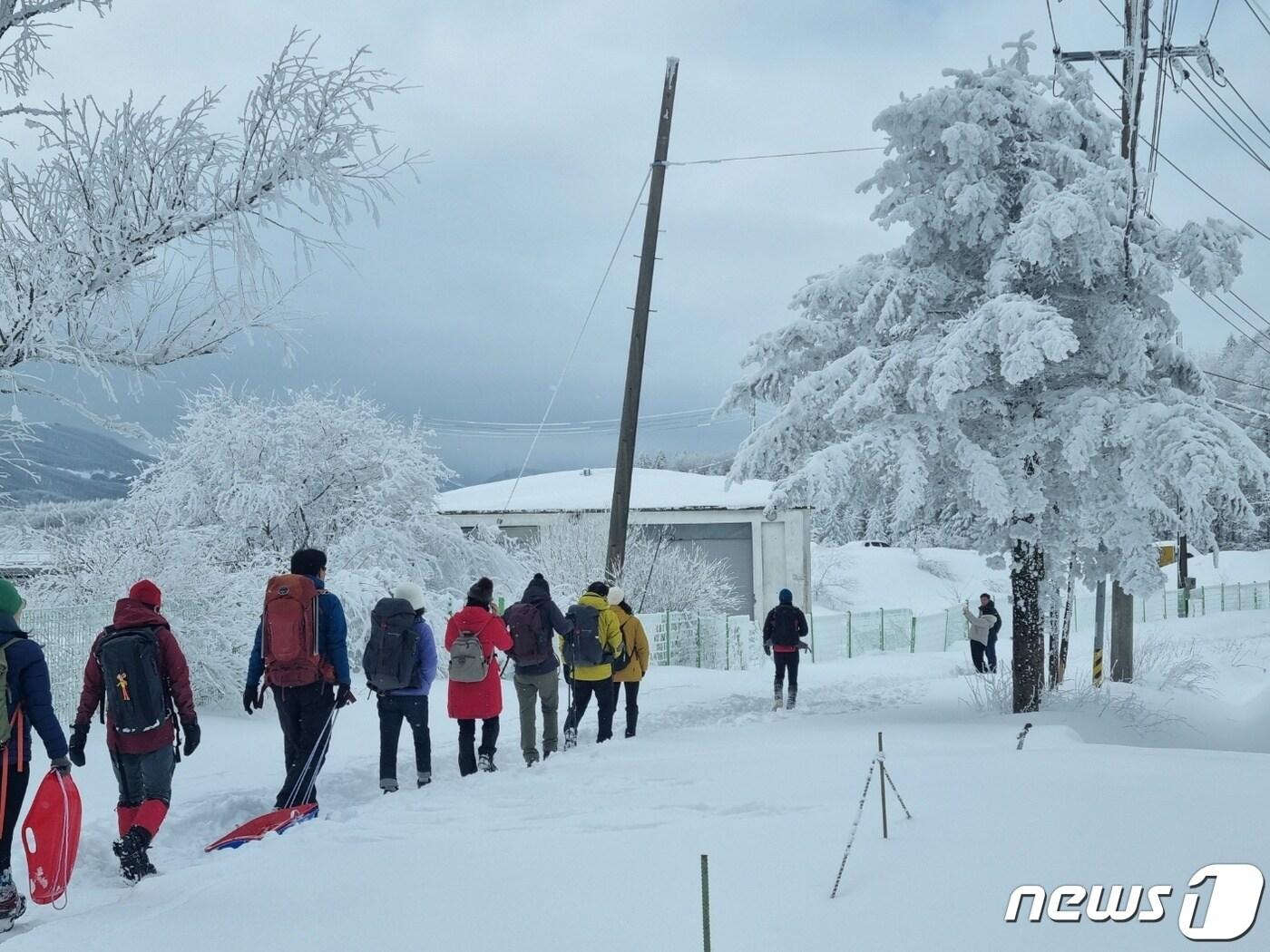 본문 이미지 - 설국으로 변한 평창군 대관령 일대를 찾은 등산객들이 눈꽃 산행을 즐기고 있다ⓒ News1  
