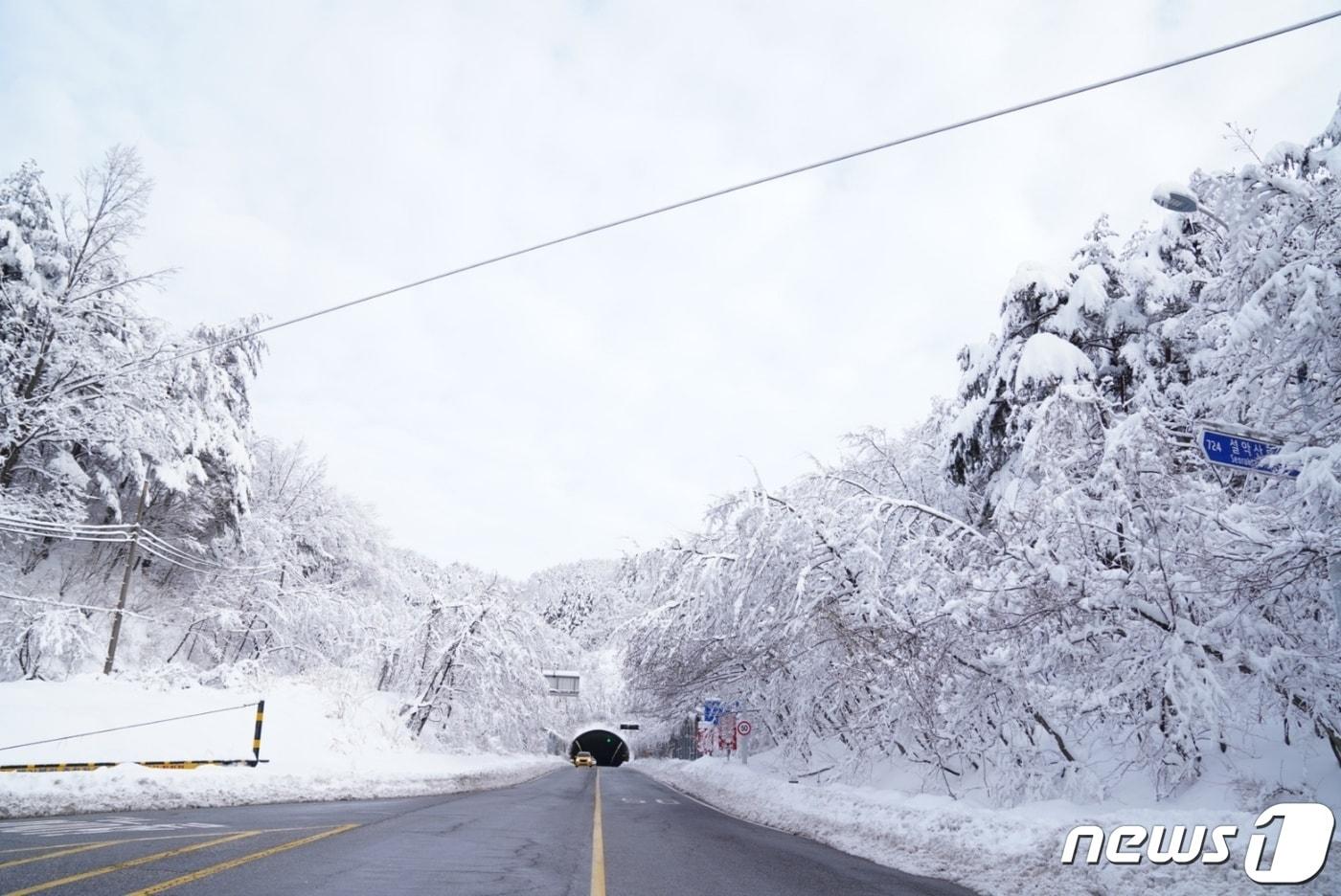 눈 덮인 강원 속초 설악동 자료사진.(뉴스1 DB)