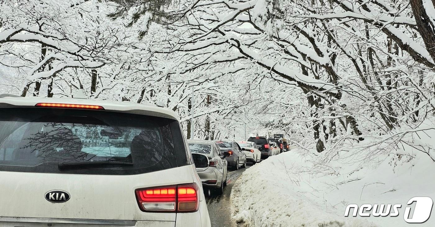 본문 이미지 - 강원 산지와 동해안을 중심으로 폭설이 내린  강원 속초시 일대가 설국으로 변해 있다. (속초시 제공)2024.2.6/뉴스1 ⓒ News1 윤왕근 기자