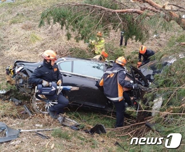 본문 이미지 -  충남 서산군 운산면 서해안고속도로 교통사고 현장. (서산소방서 제공) / 뉴스1
