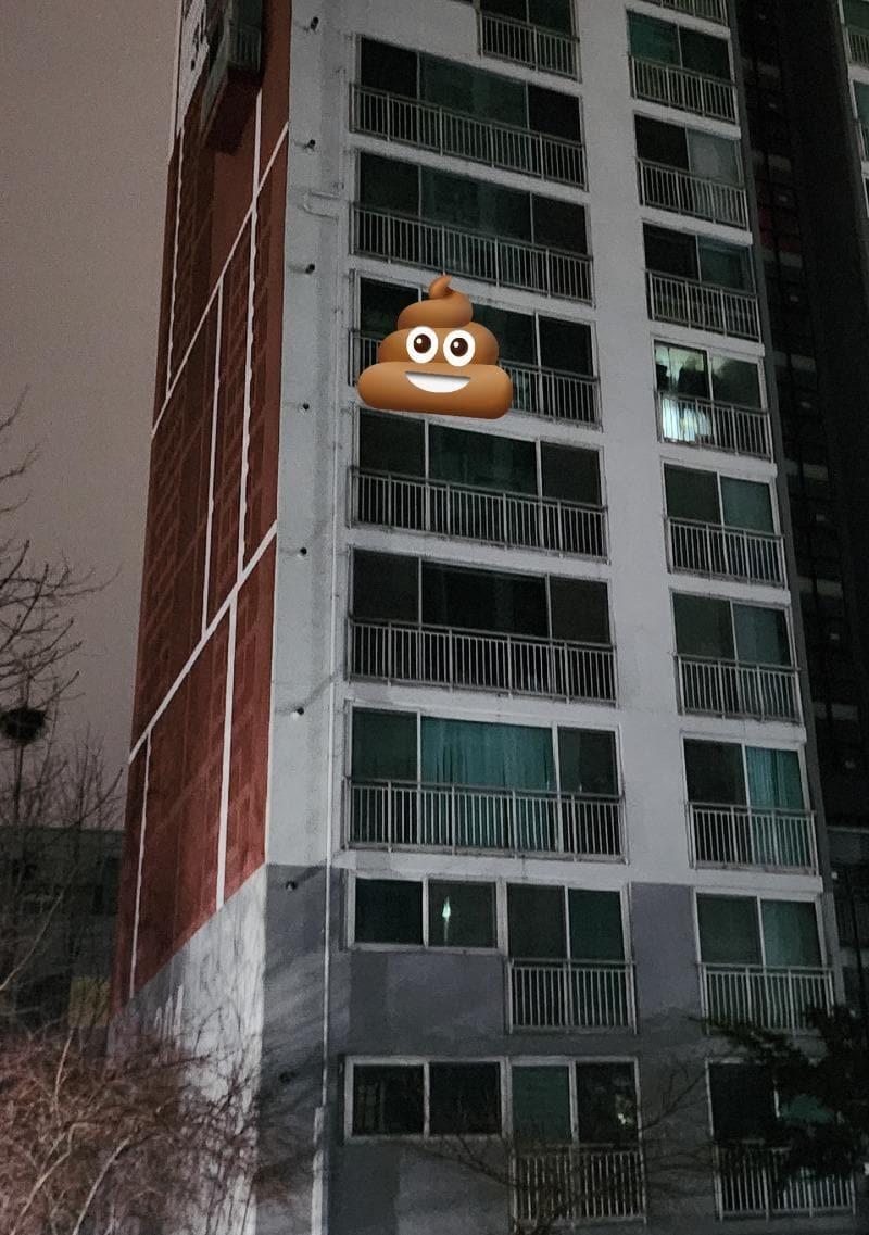 본문 이미지 - (온라인 커뮤니티 '보배드림' 갈무리)