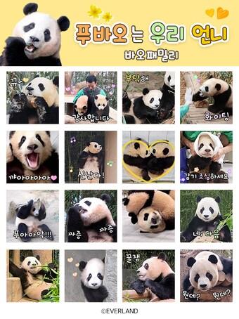 본문 이미지 - '푸바오는 우리 언니' 카카오 이모티콘(에버랜드 제공)