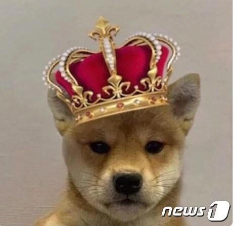 본문 이미지 - WIF 시각물 