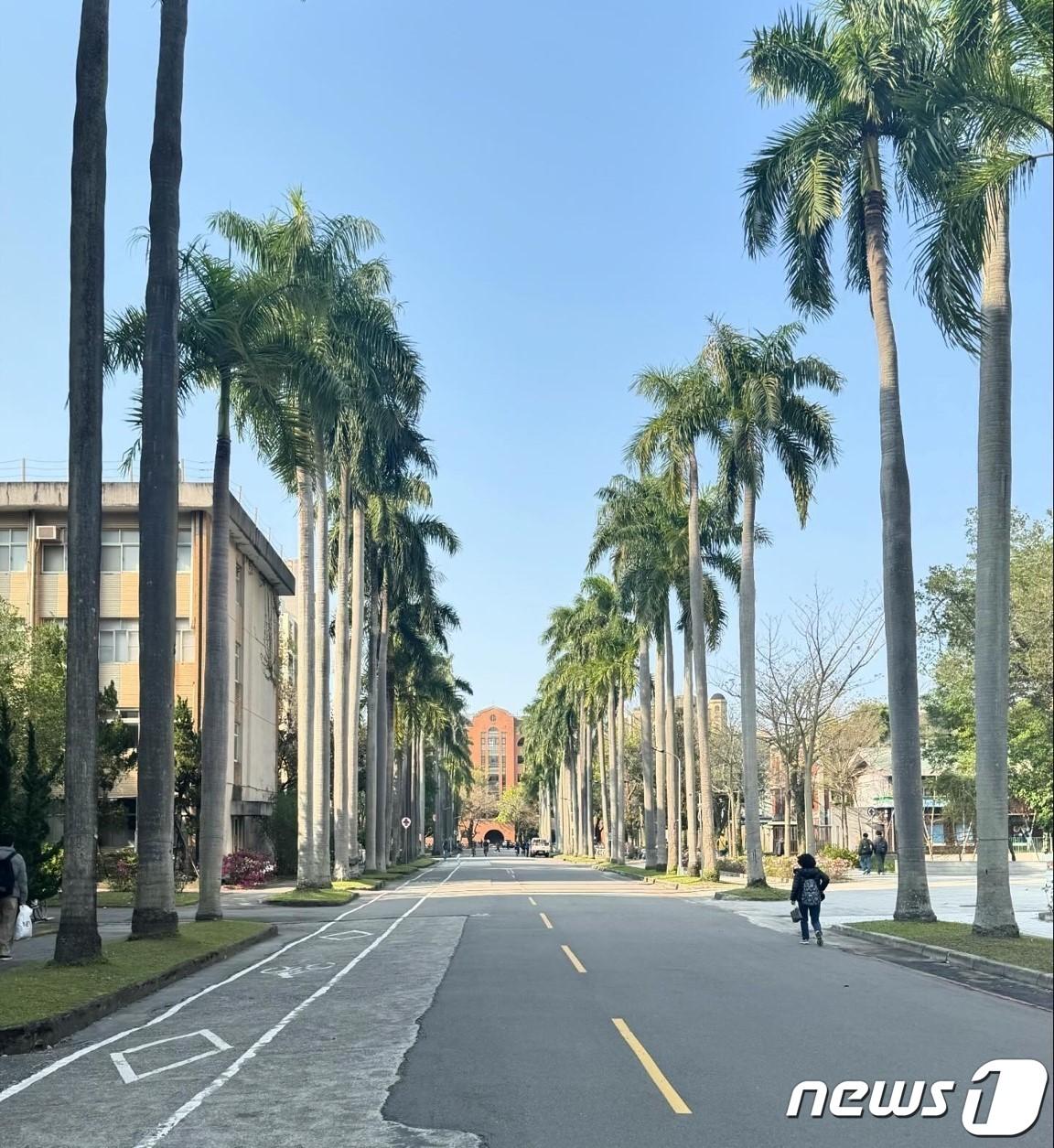 본문 이미지 -  대만 타이베이에 위치한 국립 타이완 대학교(NTU). 2024.3.8 / 뉴스1 ⓒ News1 강태우 기자