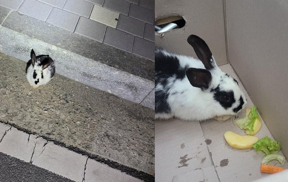 본문 이미지 - (온라인 커뮤니티 갈무리)