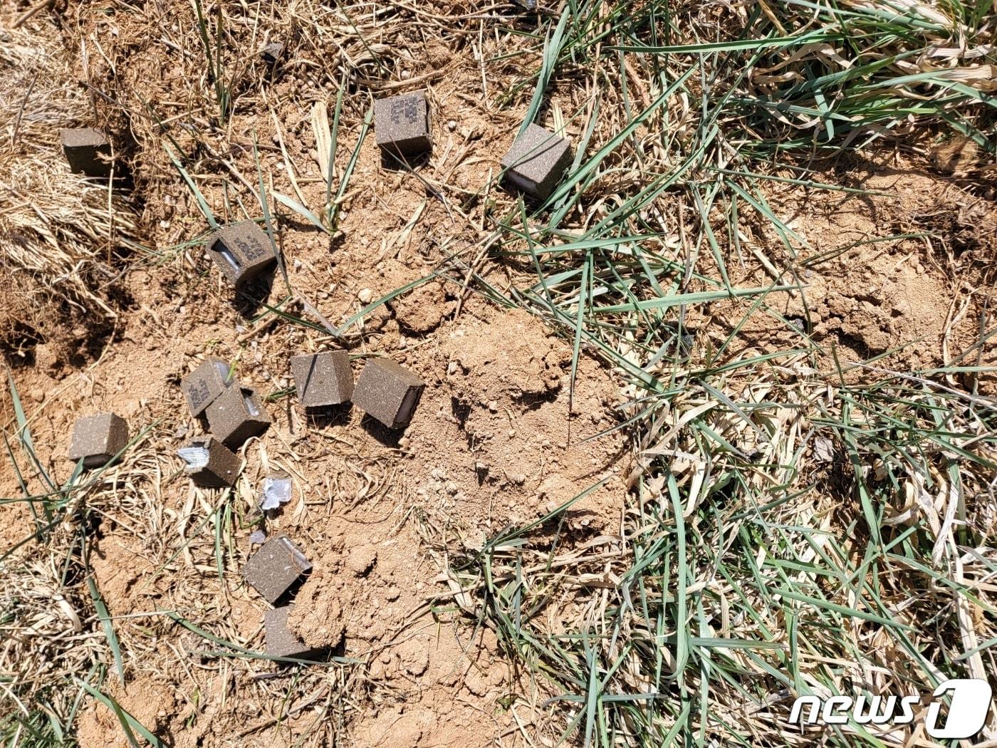 본문 이미지 - 너구리가 먹게될 미끼백신.(춘천시 제공리